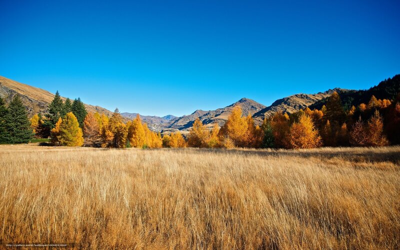 Autumn Field with Mountains — Blue, Serene, Photograph