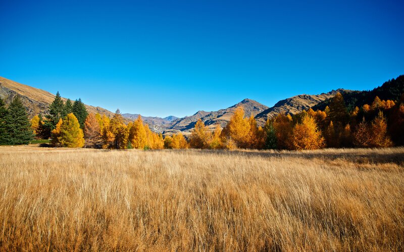 Autumn Field with Mountains — Blue, Serene