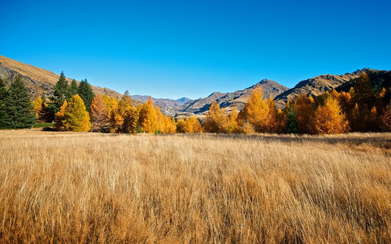 Autumn Field with Mountains — Blue