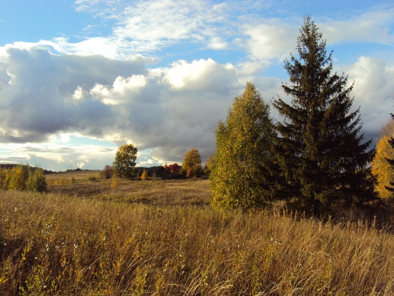 Autumn Field with Trees — Blue, Dramatic