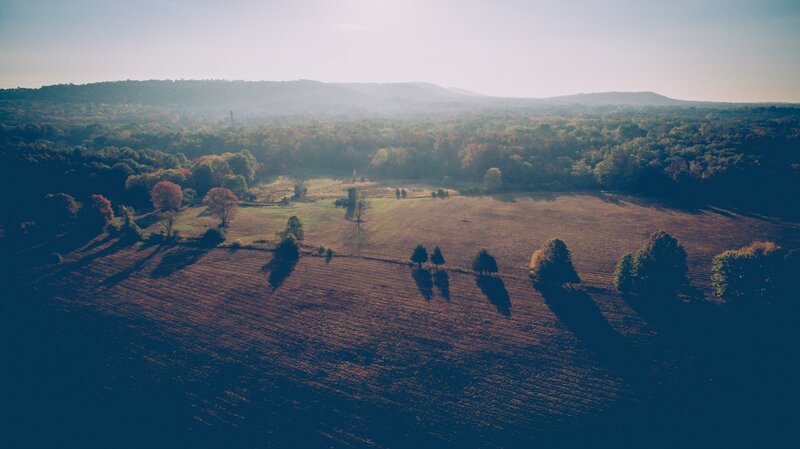 Autumn Field with Trees — Brown, Serene