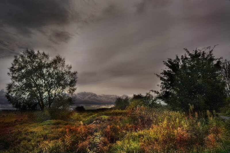 Autumn Field with Trees — Green, Dramatic