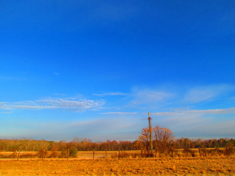 Autumn Field with Utility Pole