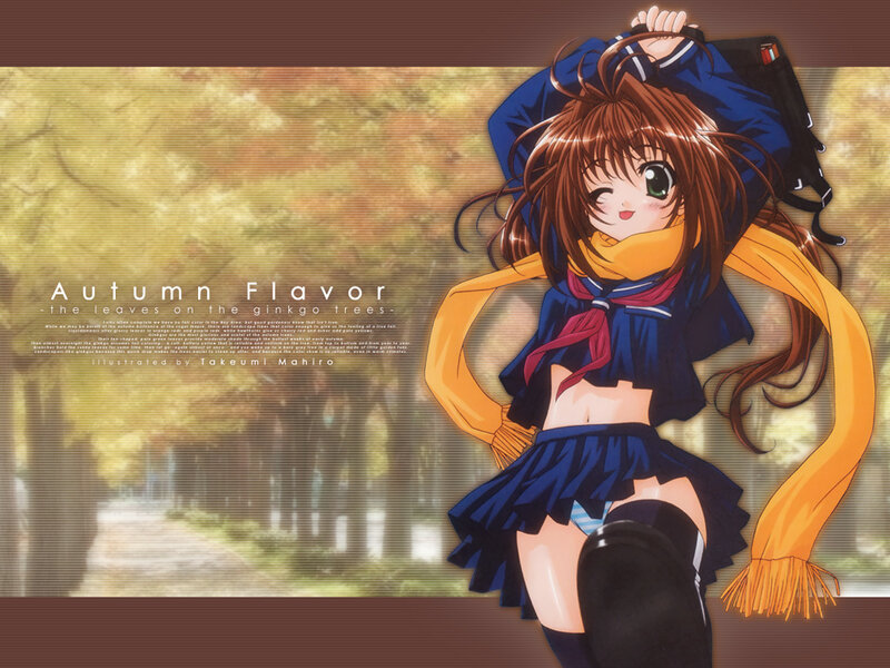 Autumn Flavor illustration