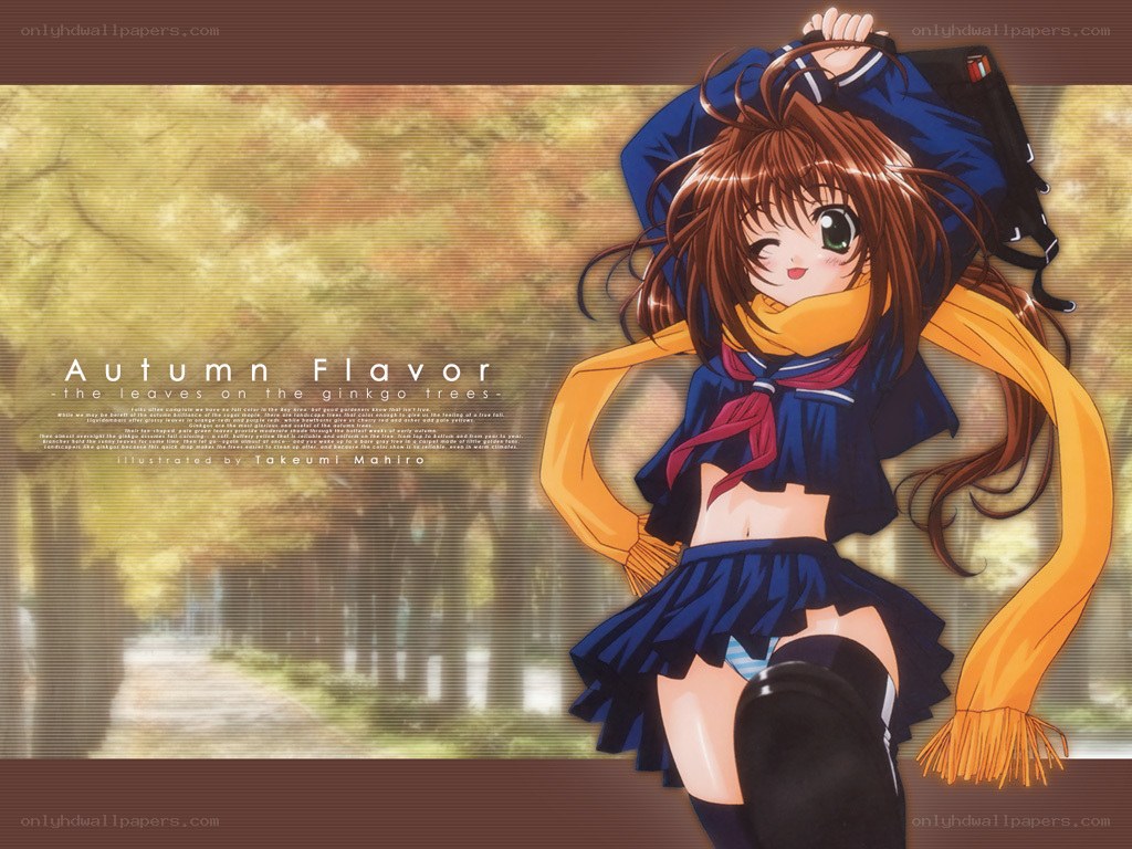 Autumn Flavor illustration