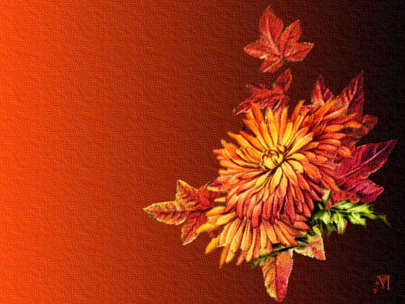 Autumn Flower and Leaves