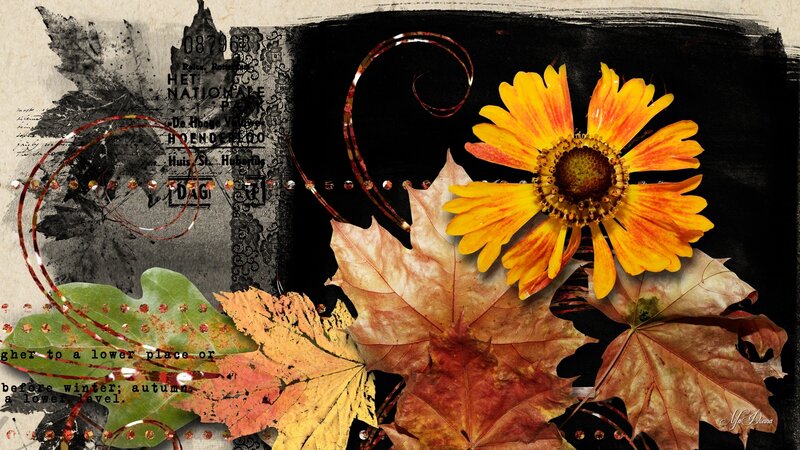 Autumn Flower and Leaves — Yellow