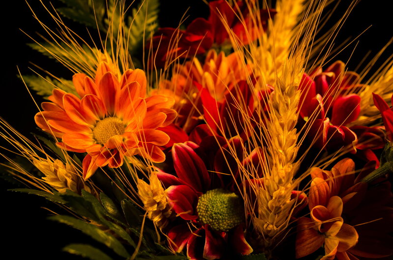 Autumn Flower Arrangement — Orange, Dramatic