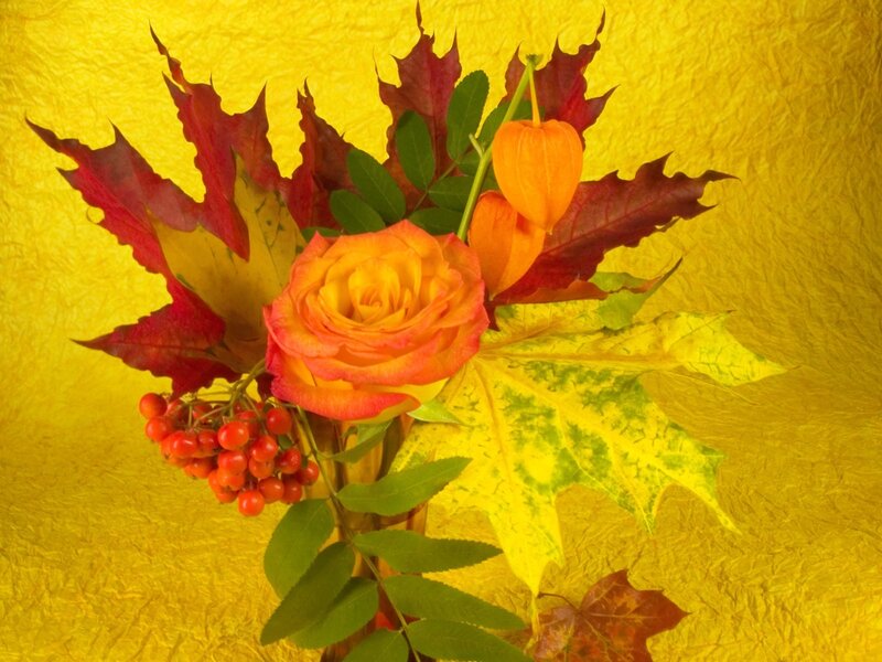 Autumn Flower Arrangement — Yellow, Warm, Photograph, Rose