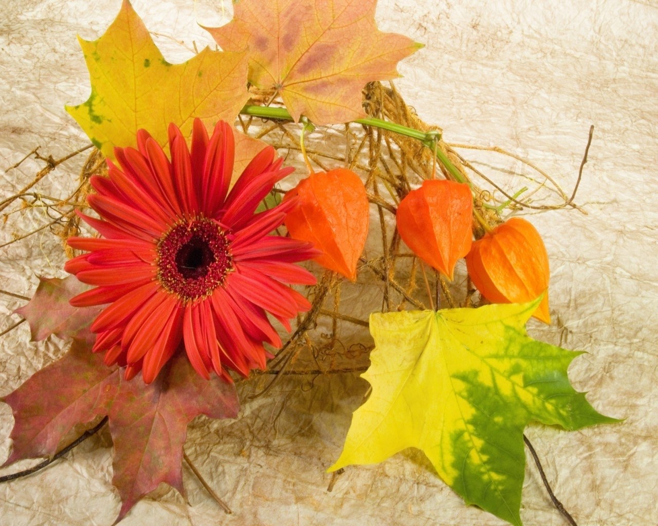 Autumn flower arrangement
