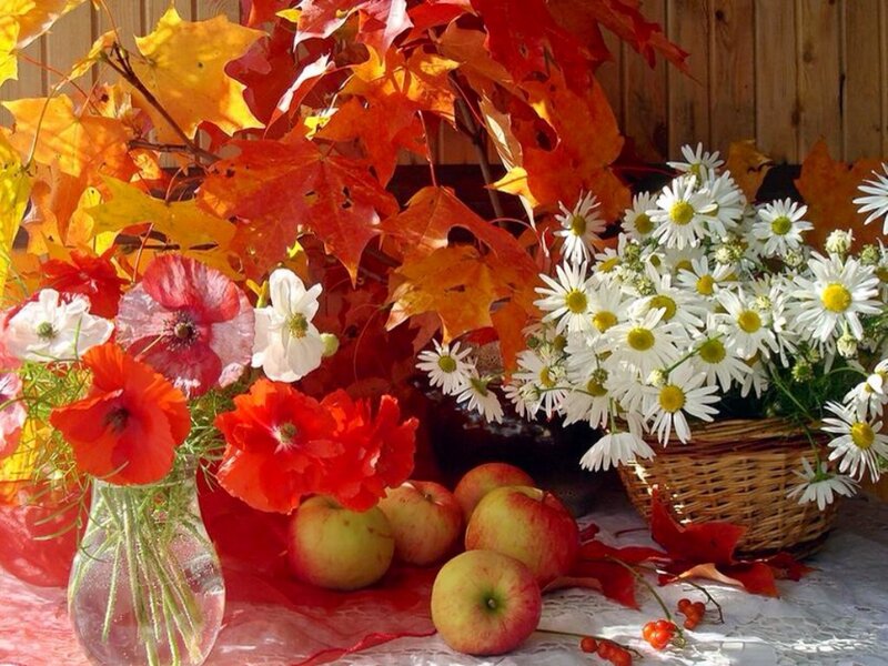 Autumn Flowers and Apples — Red