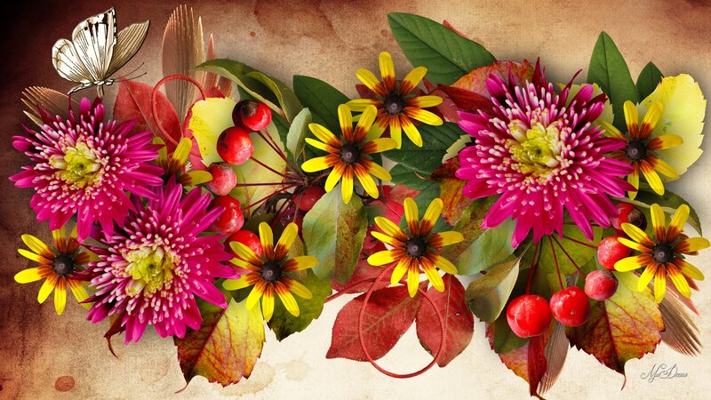 Autumn Flowers and Berries — Pink
