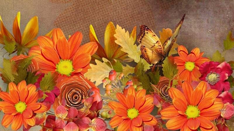 Autumn Flowers and Butterfly — Orange