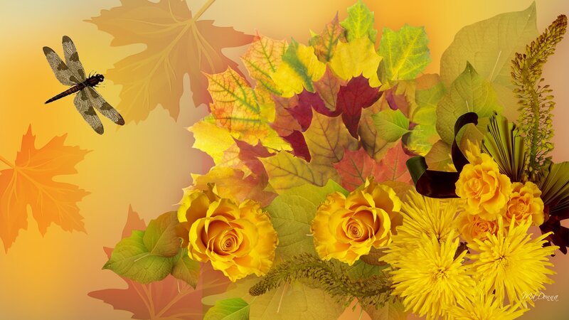 Autumn Flowers and Dragonfly