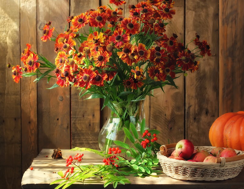 Autumn Flowers and Fruit — Orange, Calm