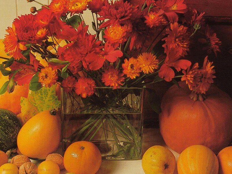 Autumn Flowers and Fruits
