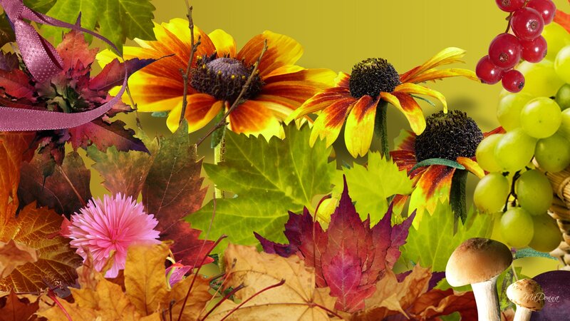 Autumn Flowers and Fruits — Yellow