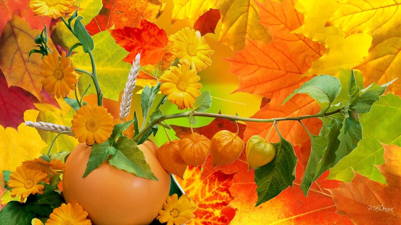 Autumn Flowers and Leaves — Orange, Vibrant