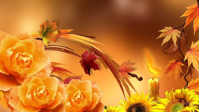 Autumn Flowers and Leaves — Orange, Warm