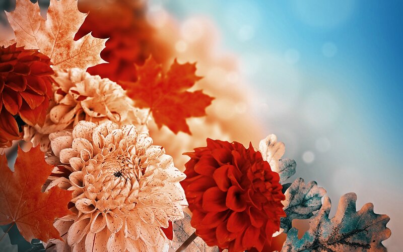Autumn Flowers and Leaves — Red, Serene