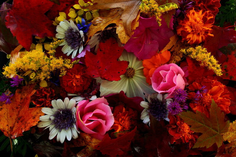 Autumn Flowers and Leaves — Red