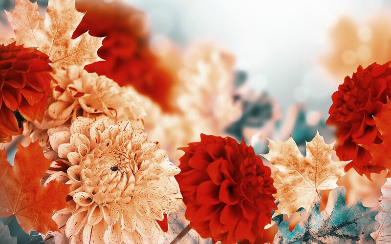 Autumn Flowers and Leaves — Red, Warm