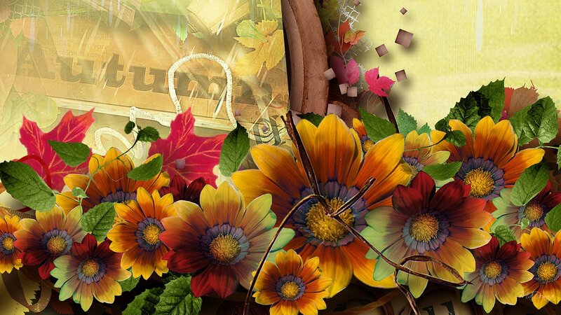 Autumn Flowers and Leaves