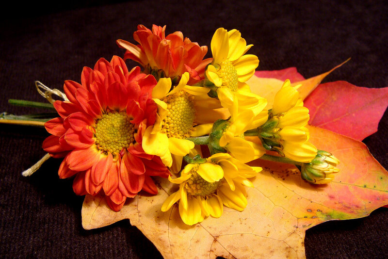 Autumn Flowers and Leaves — Yellow, Calm