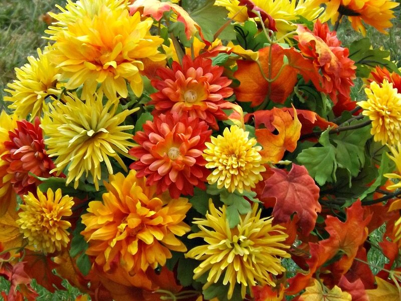 Autumn Flowers and Leaves — Yellow, Vibrant, Photograph