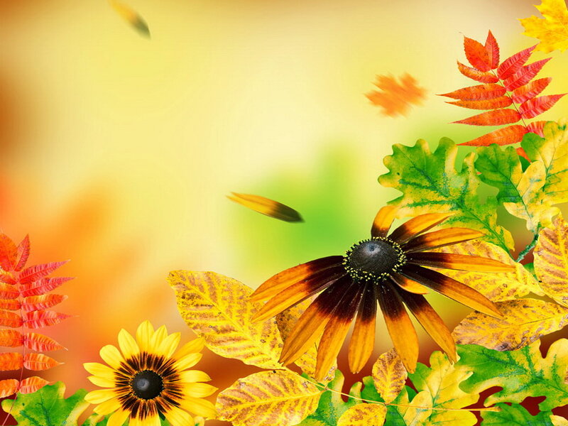 Autumn Flowers and Leaves — Yellow, Vibrant