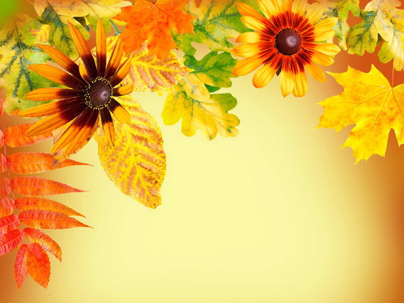 Autumn Flowers and Leaves — Yellow, Warm, Photograph