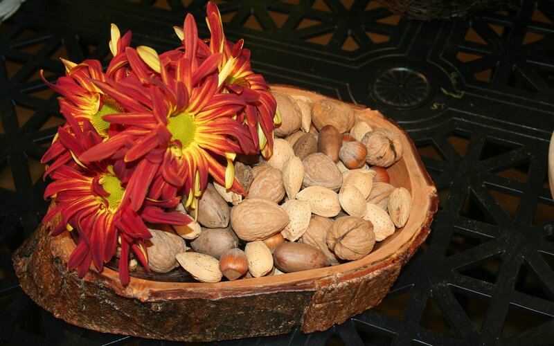 Autumn Flowers and Nuts