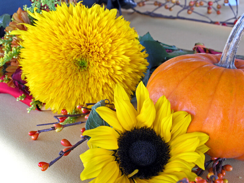 Autumn flowers and pumpkin