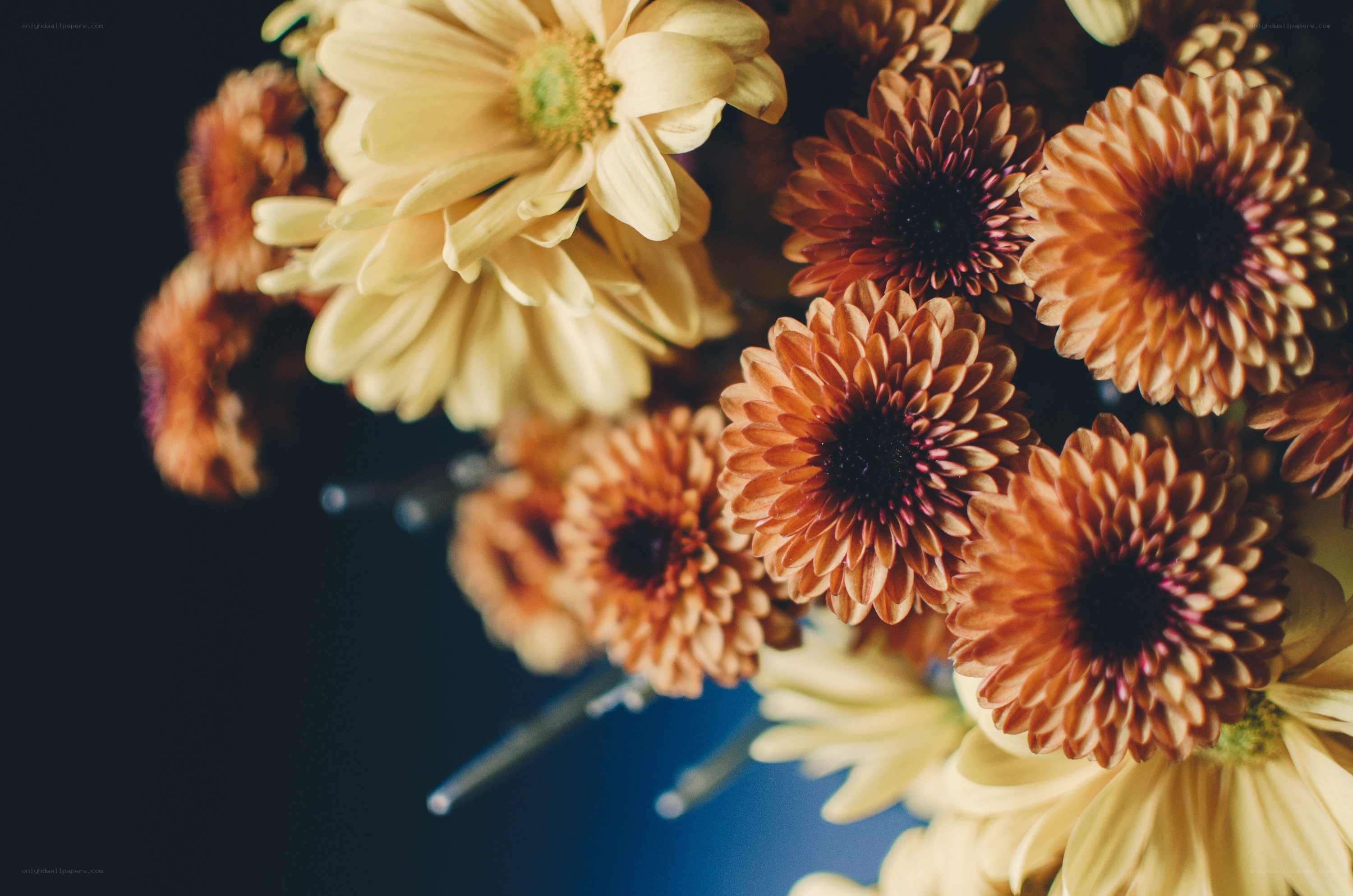 Autumn flowers bouquet