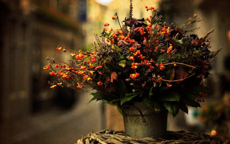 Autumn flowers in a metal bucket