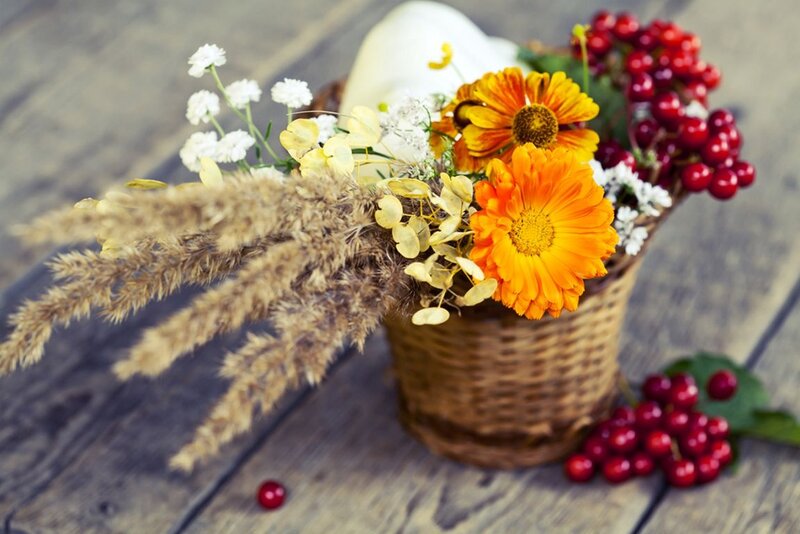 Autumn Flowers in Basket — Orange, Calm, Photograph