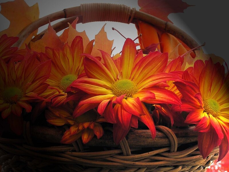 Autumn Flowers in Basket