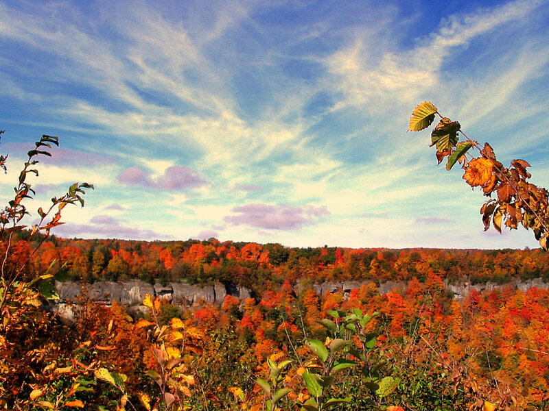 Autumn foliage at a scenic overlook