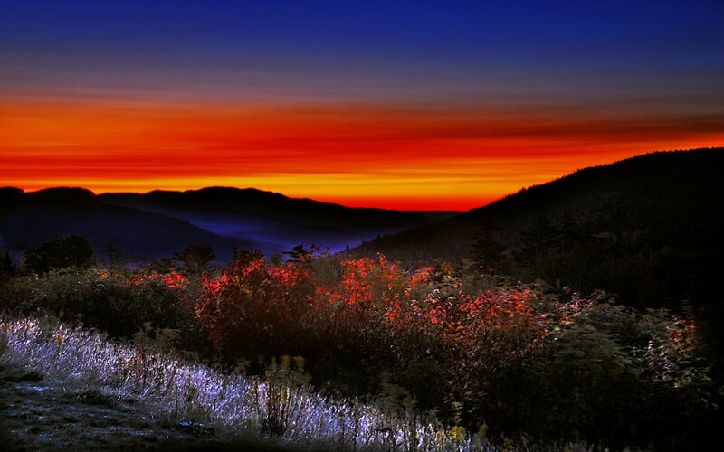 Autumn Foliage at Sunset