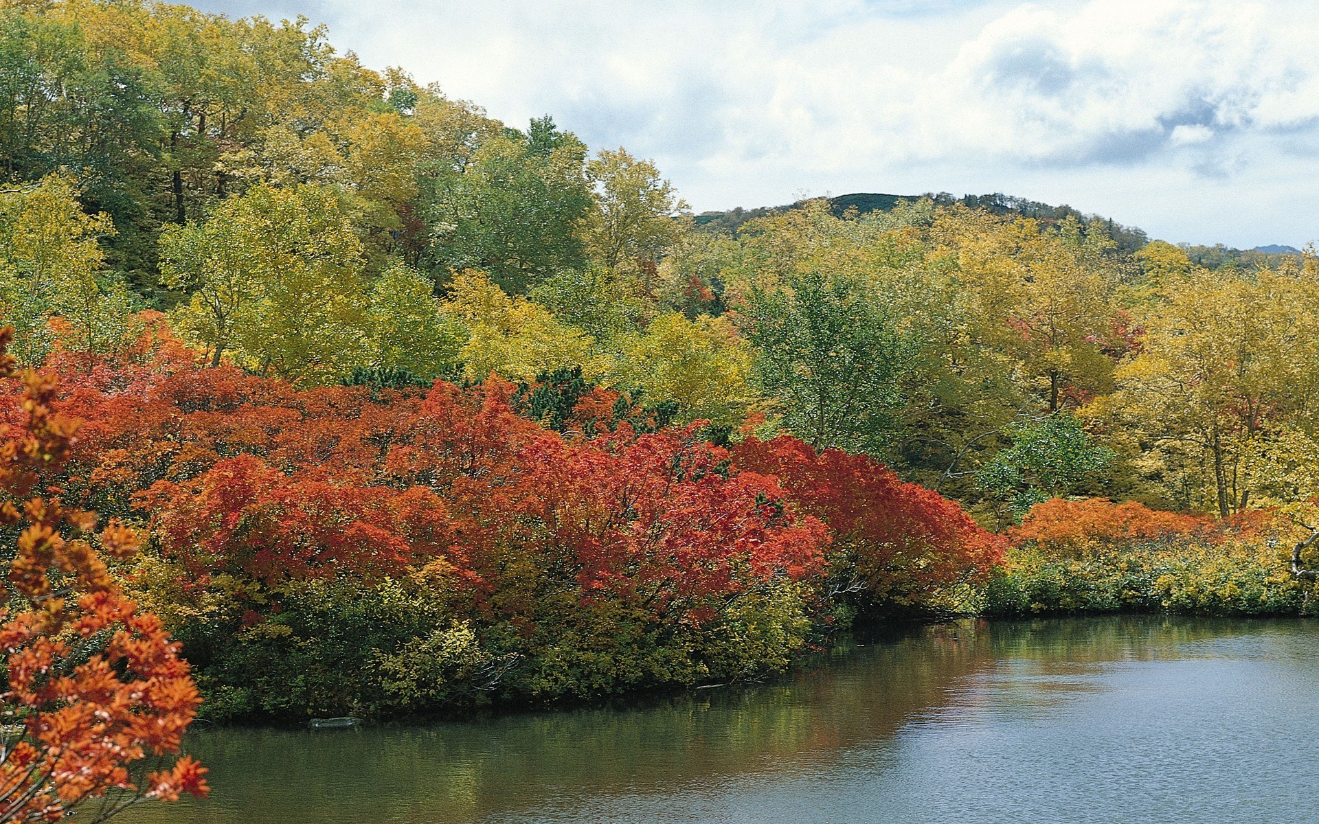 Autumn foliage by a lake