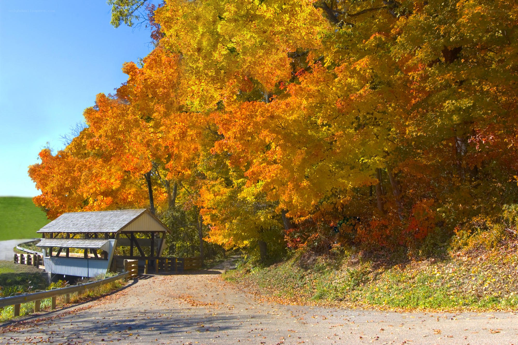 Autumn foliage by covered bridge
