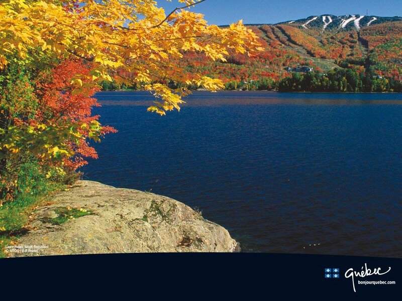 Autumn Foliage by Lake — Blue