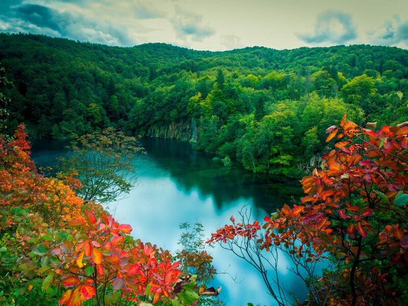 Autumn Foliage by Lake — Green