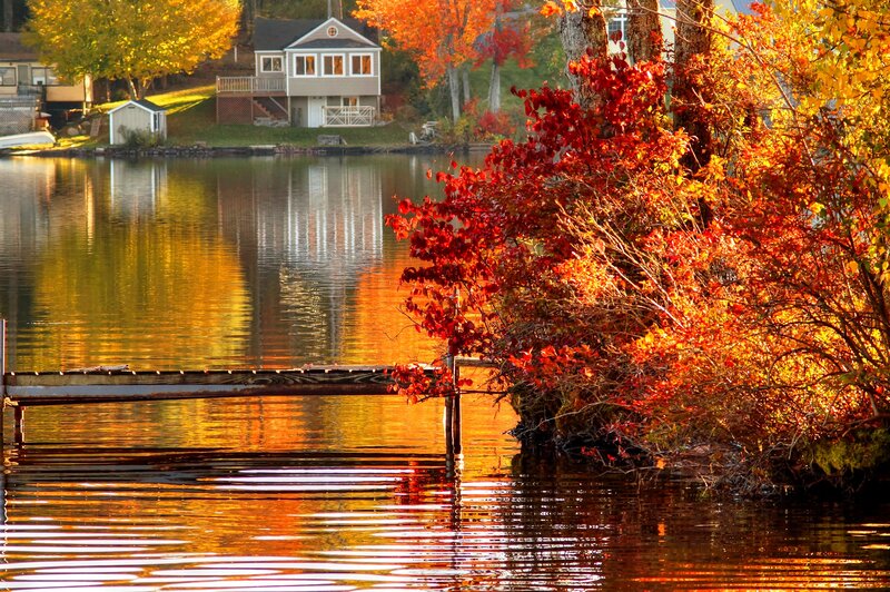 Autumn Foliage by Lake — Red, Serene