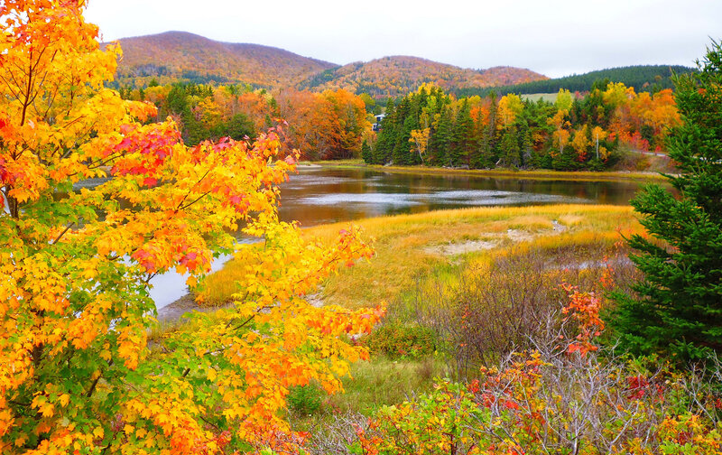 Autumn Foliage by Lake — Yellow