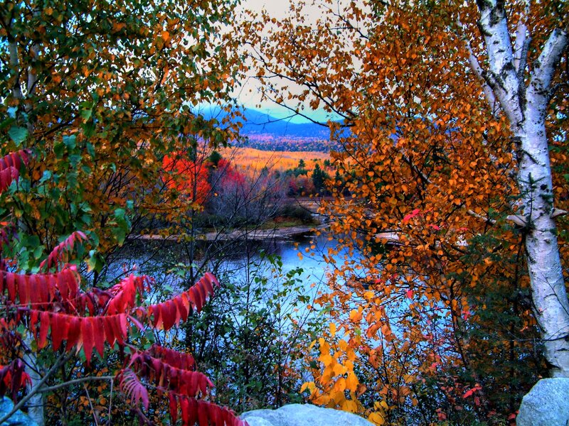 Autumn Foliage by River — Orange