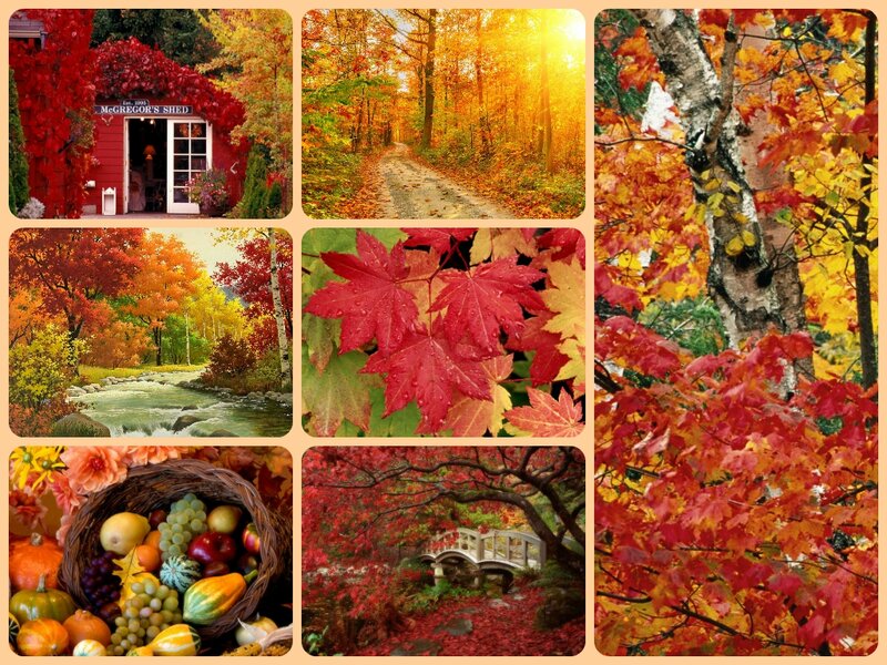 Autumn Foliage Collage — Red