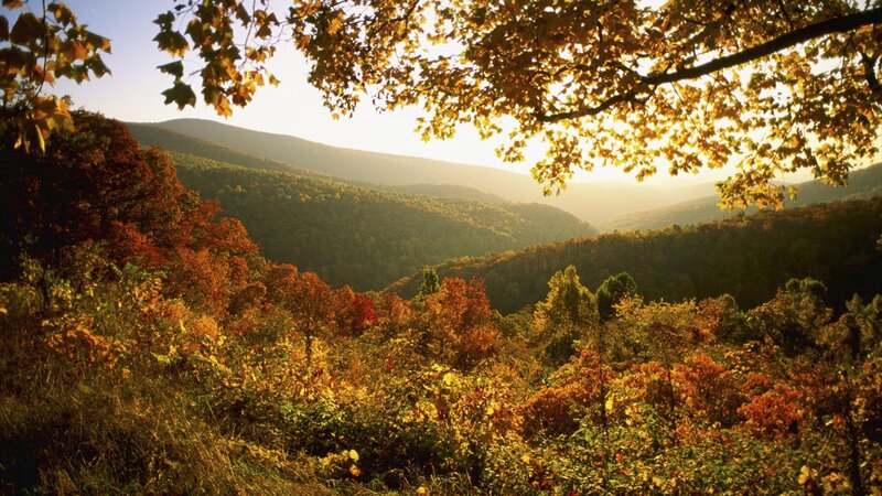 Autumn foliage in mountain valley