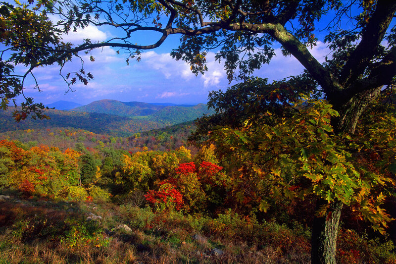 Autumn foliage in the Blue Ridge Mountains