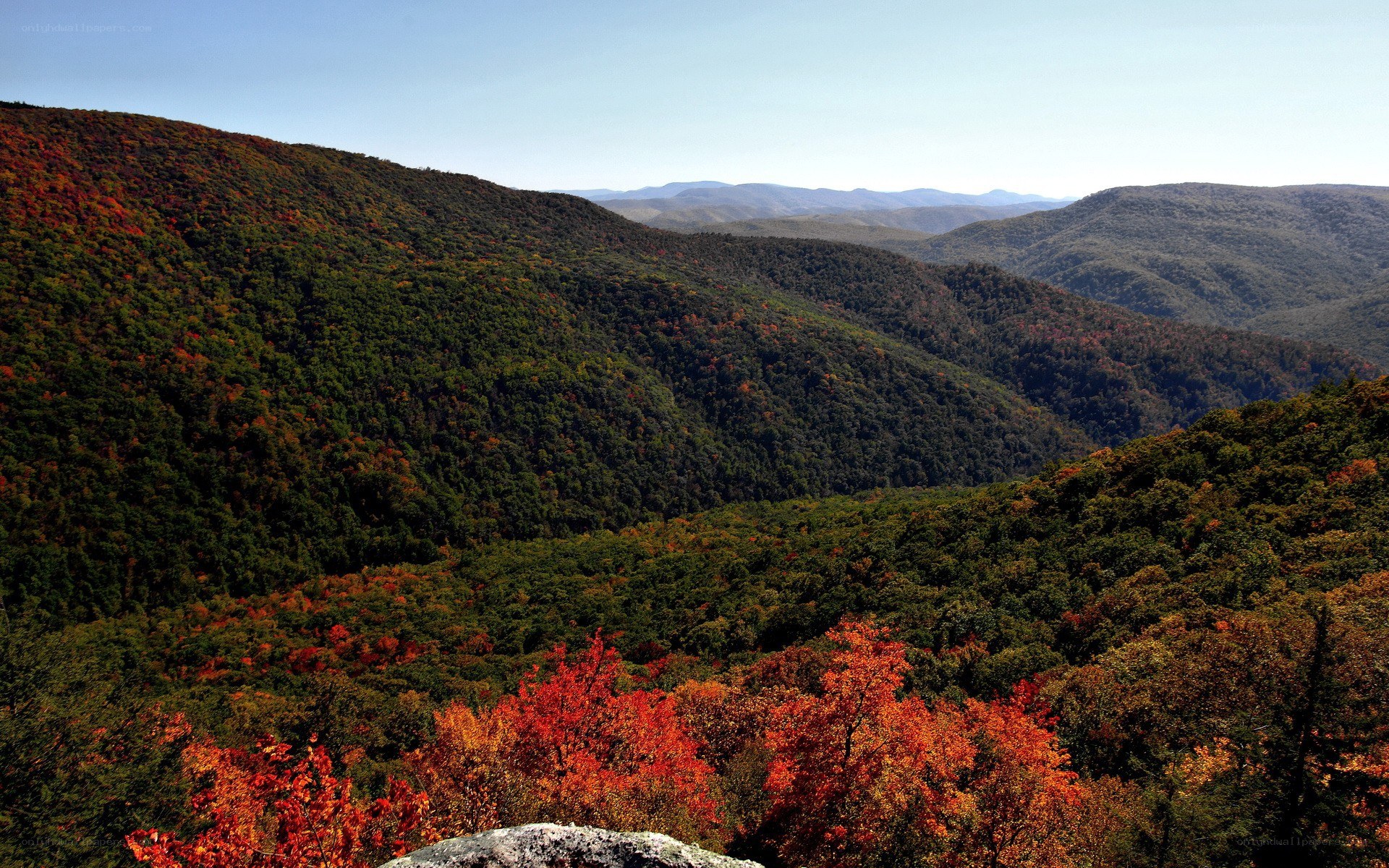 autumn foliage in the mountains